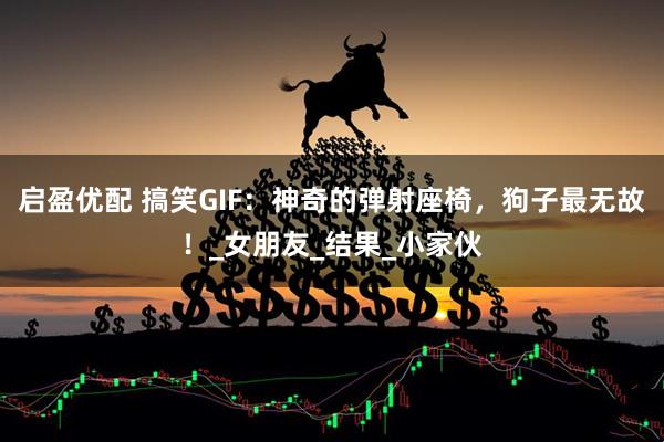 启盈优配 搞笑GIF：神奇的弹射座椅，狗子最无故！_女朋友_结果_小家伙