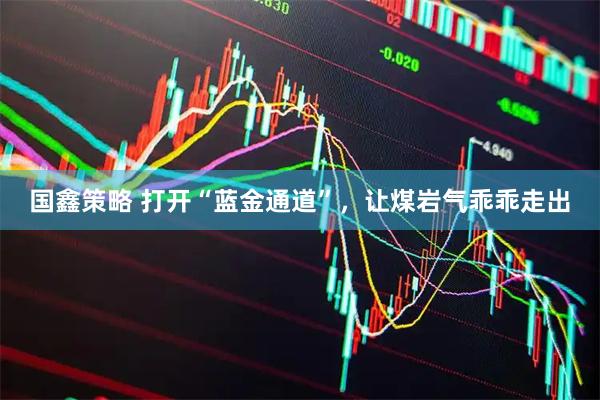 国鑫策略 打开“蓝金通道”，让煤岩气乖乖走出