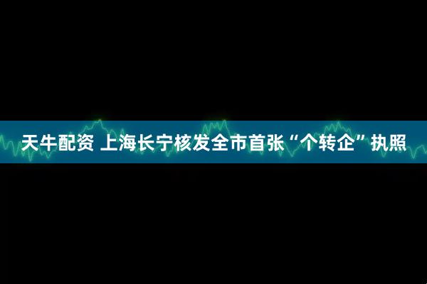 天牛配资 上海长宁核发全市首张“个转企”执照