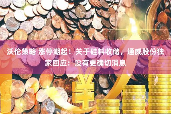 沃伦策略 涨停潮起！关于硅料收储，通威股份独家回应：没有更确切消息