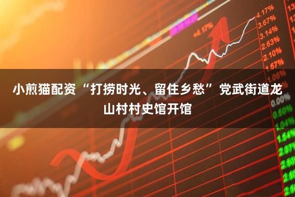 小煎猫配资 “打捞时光、留住乡愁” 党武街道龙山村村史馆开馆